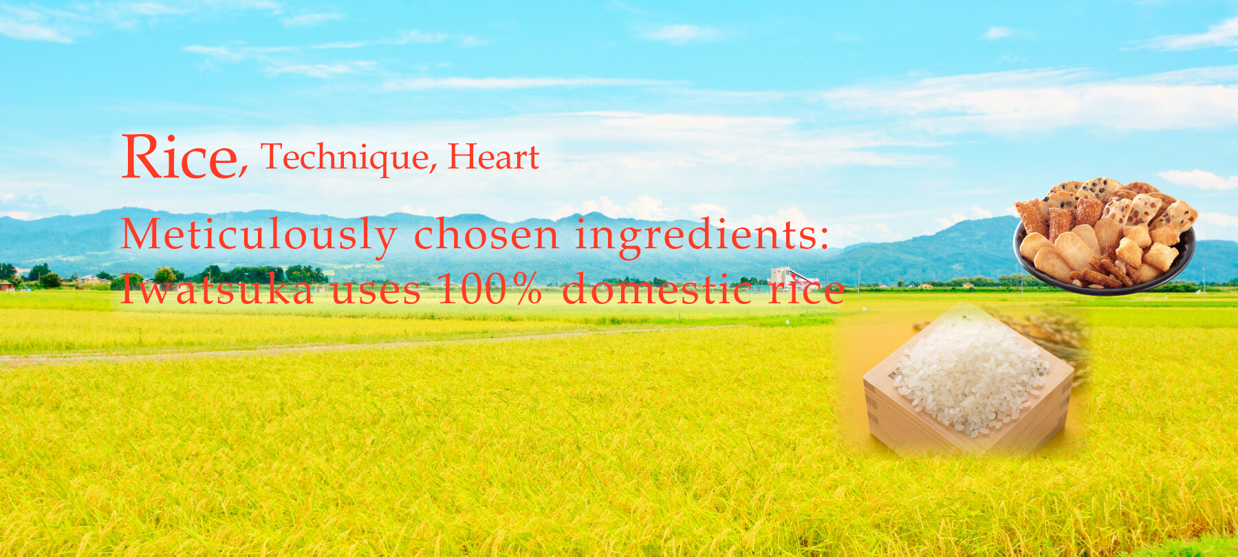 Rice,Technique,Heart Meticulously chosen ingredients: Iwatsuka uses 100% domestic rice